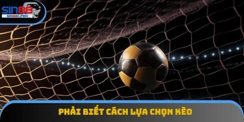 Phải biết cách lựa chọn kèo hợp lý Phải biết cách lựa chọn kèo hợp lý