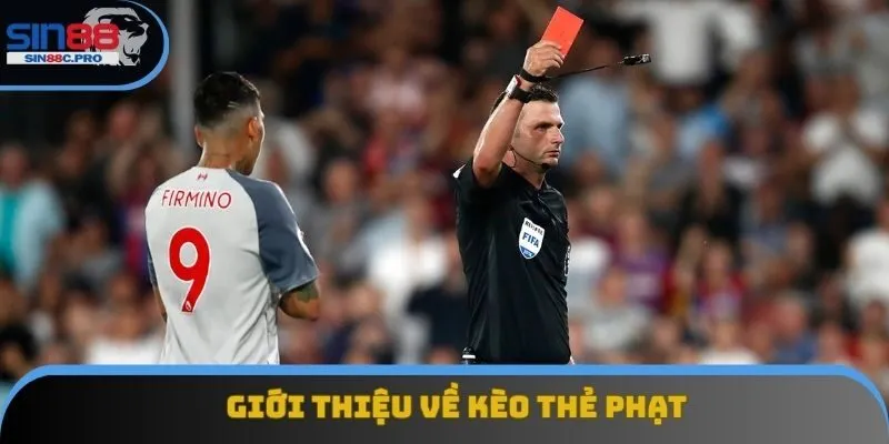Giới thiệu về kèo thẻ phạt Giới thiệu về kèo thẻ phạt
